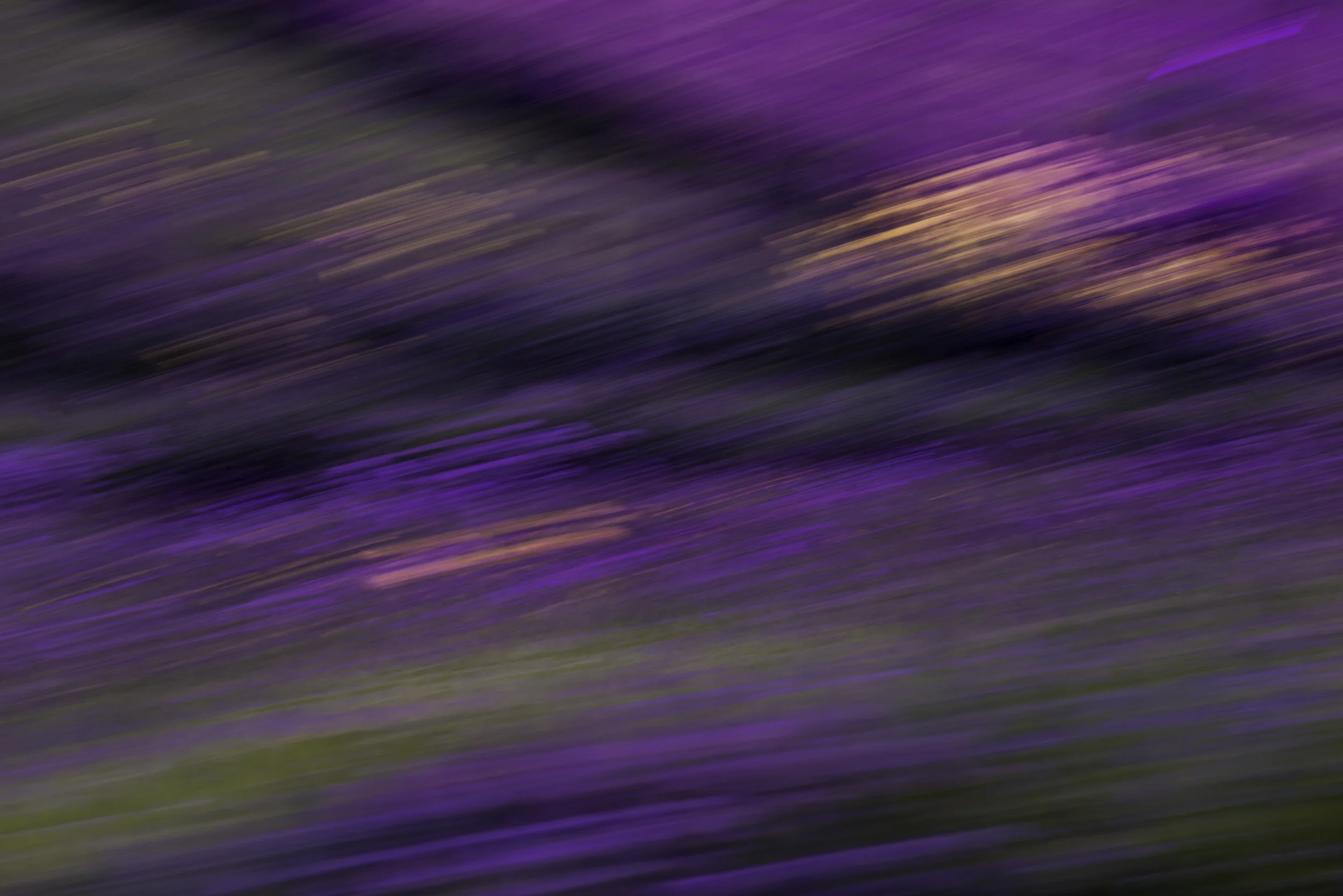 DSC_9025 w.jpg