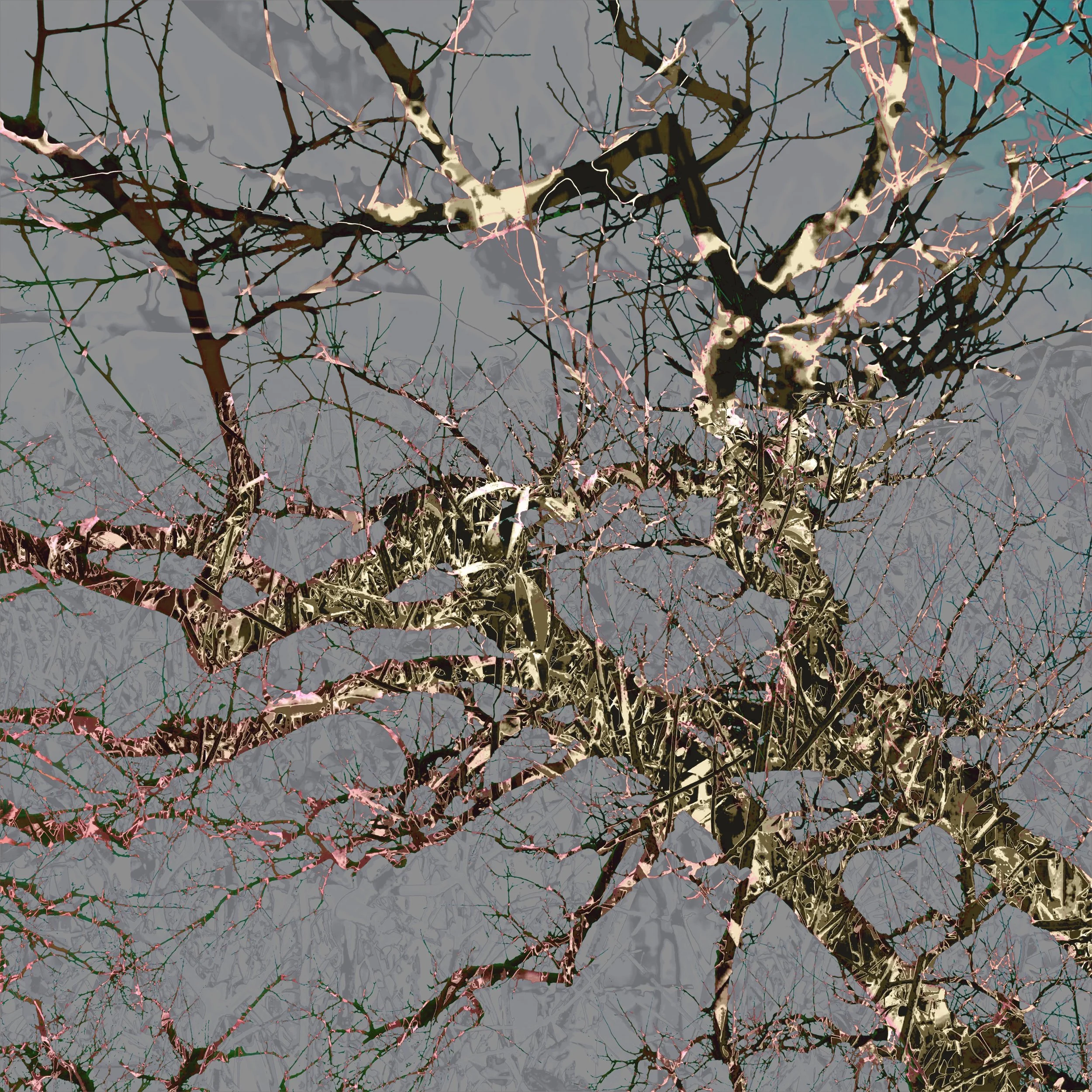 Trees13.jpg