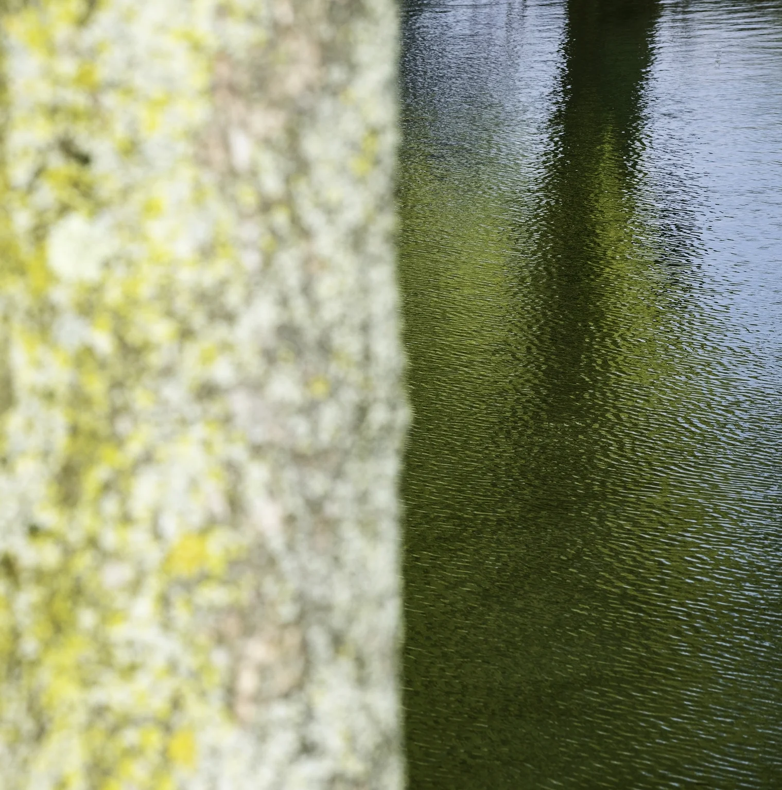 _DSC7938 w.jpg