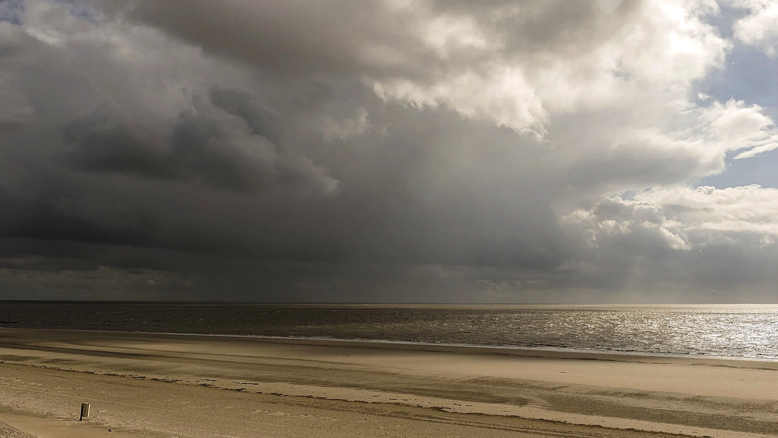 _DSC5537+w.jpg