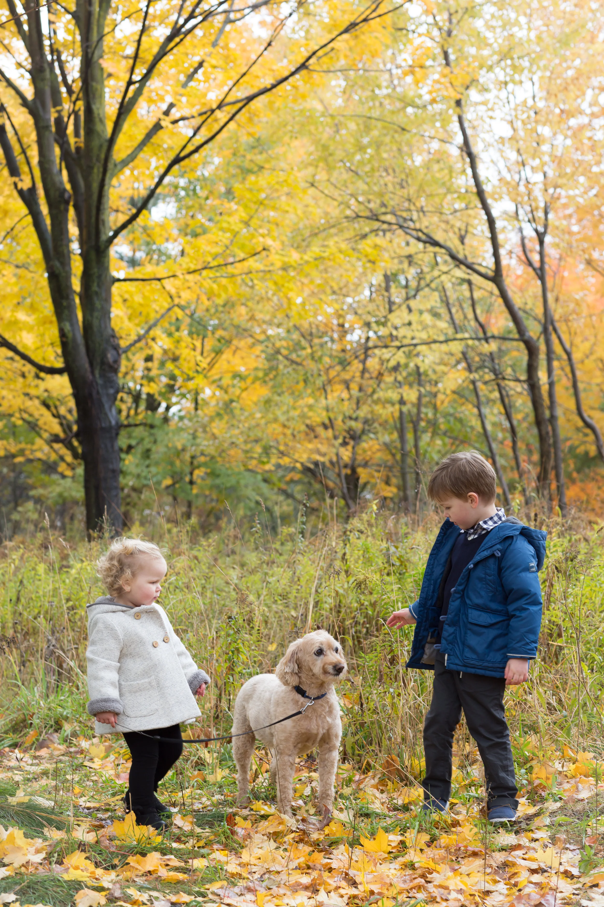 Family Photography