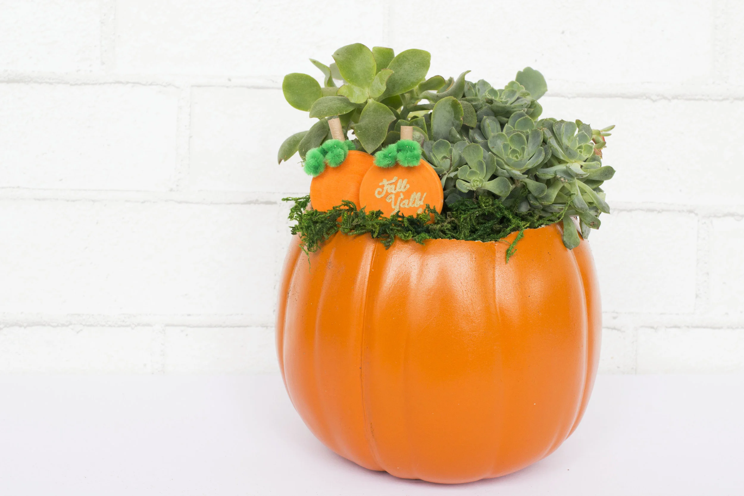 Pumpkin Planter.jpg