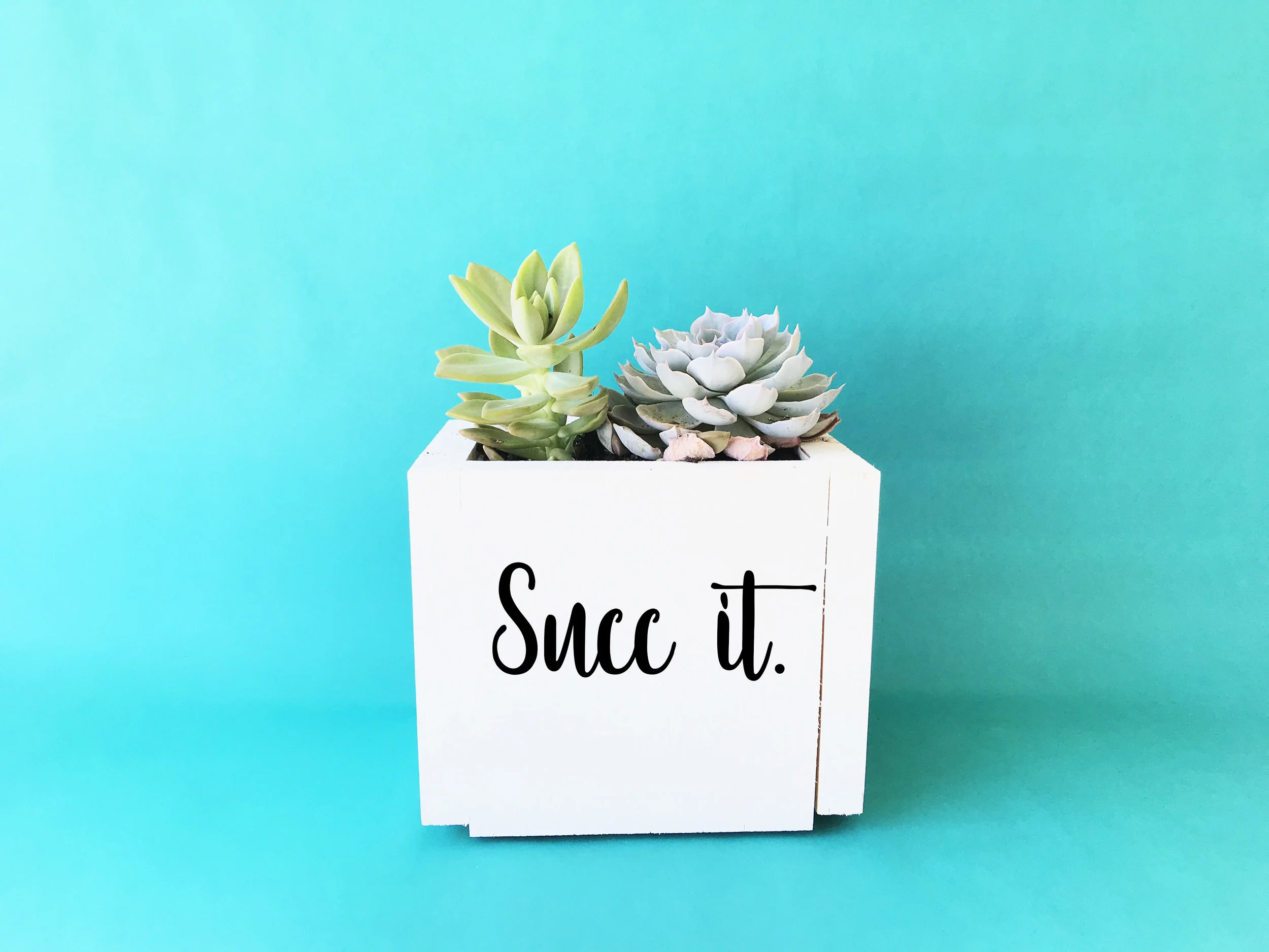Succ It.jpg
