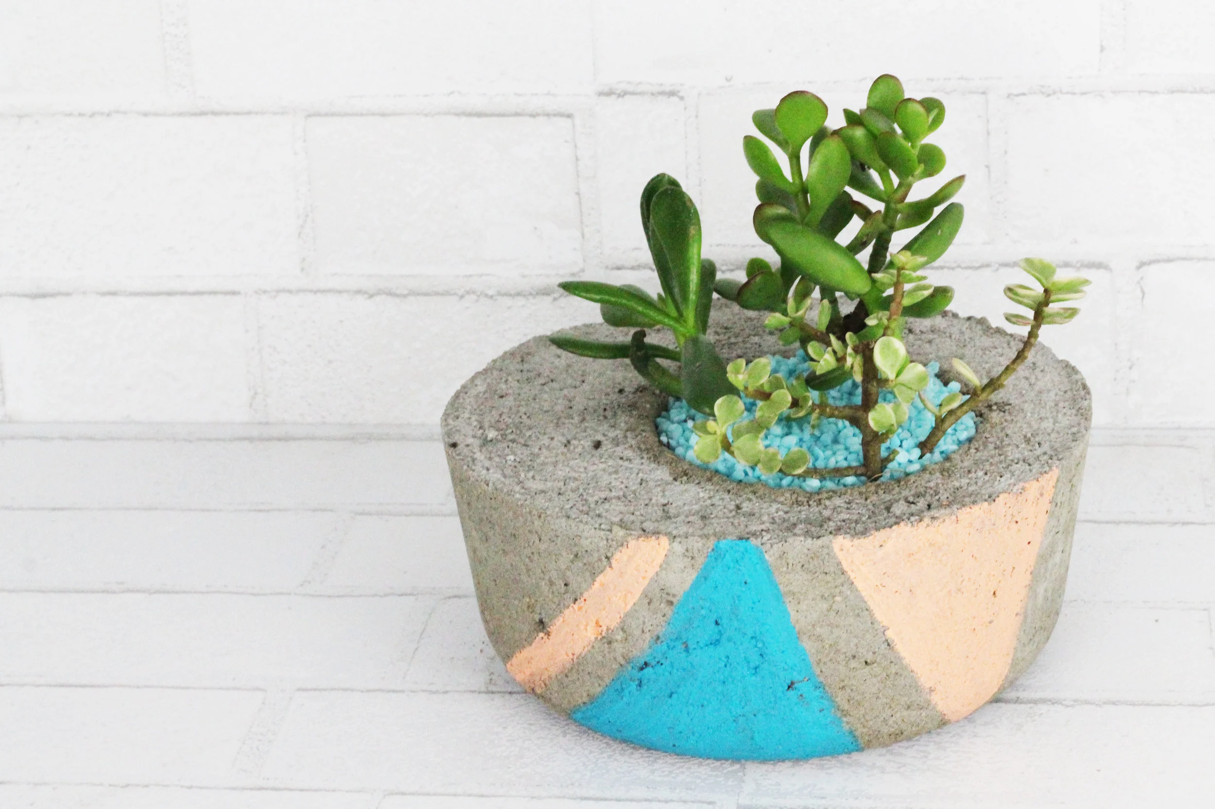 Cement Terrarium 2.jpg