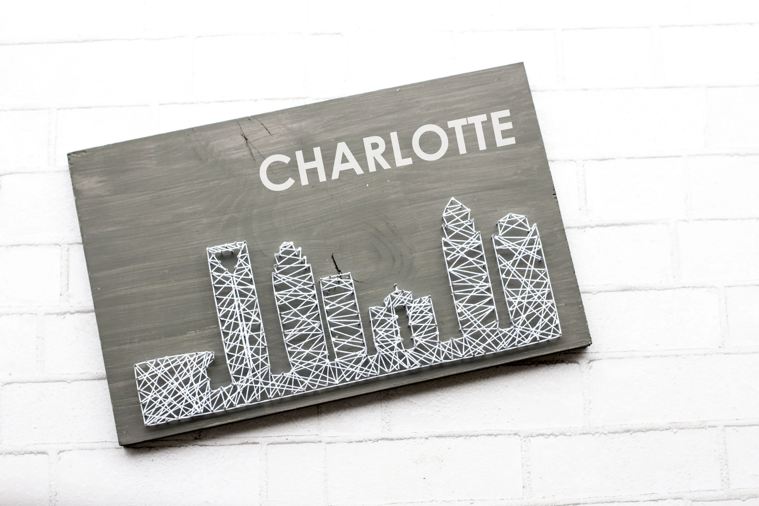 Charlotte Skyline N&S.jpg