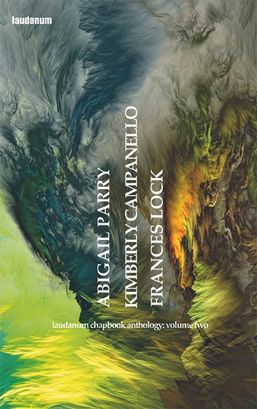 Chapbook Anthology Vol. 2 , Laudanum Publishing, July 2017 "Campanello manages to confront the frightening coldness of her material without exploiting it, surrounding it with restrained but palpable fury. The complete text is forthcoming from zimZalla as a boxed ‘report’; as well as remembering the dead, it also serves as an indictment of abused state and religious power. The selection presented here is already damning, and powerful." –Becky Varley-Winter, Sabotage Reviews Order from Laudanum Publishing here .