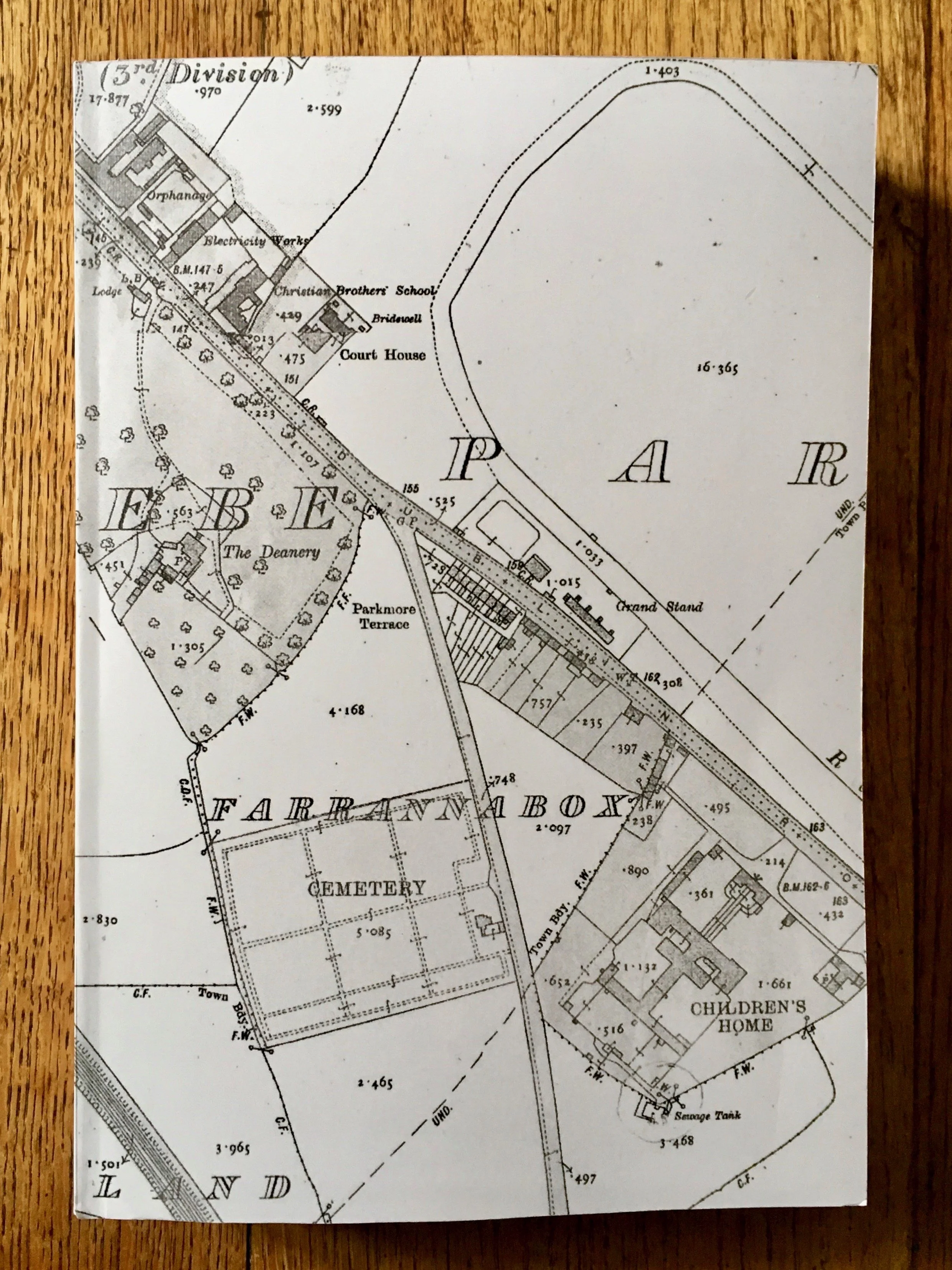 MOTHERBABYHOME readers edition book.jpeg