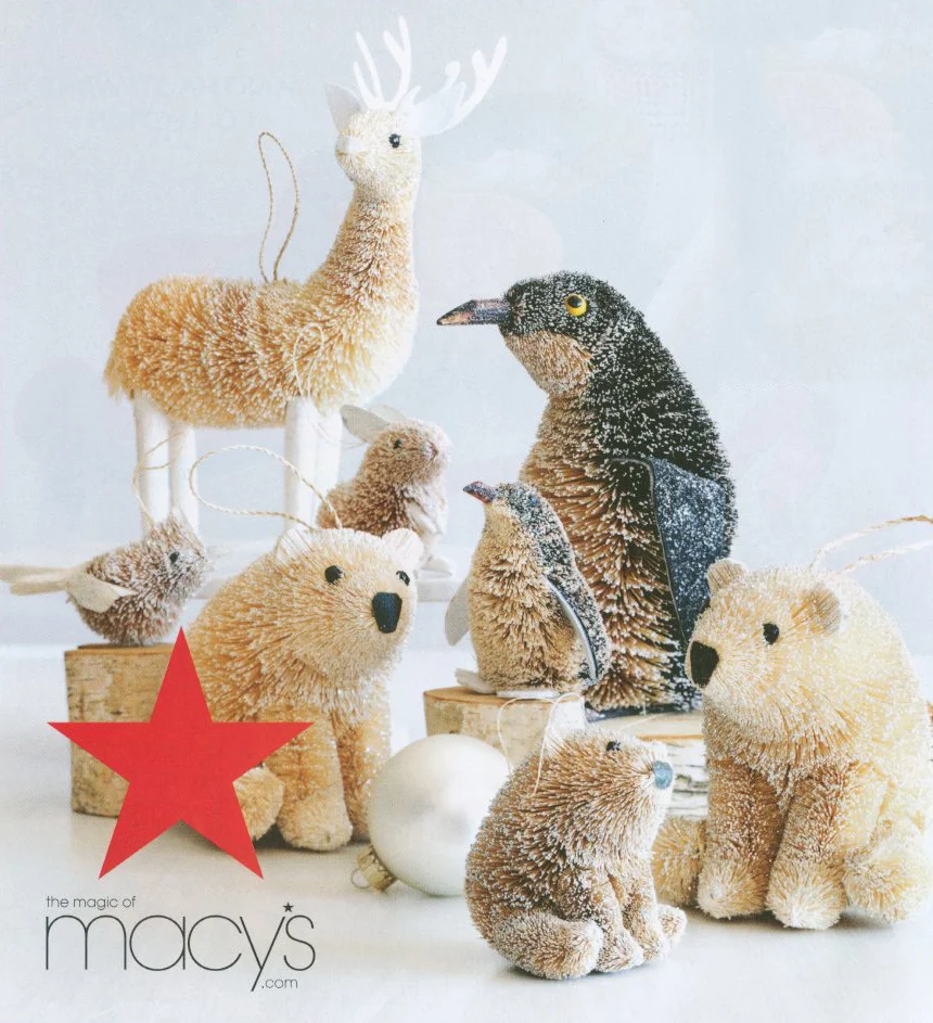 Macys Buris.jpg