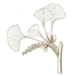 Cambridge Plant Sciences