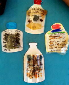 The finished potions