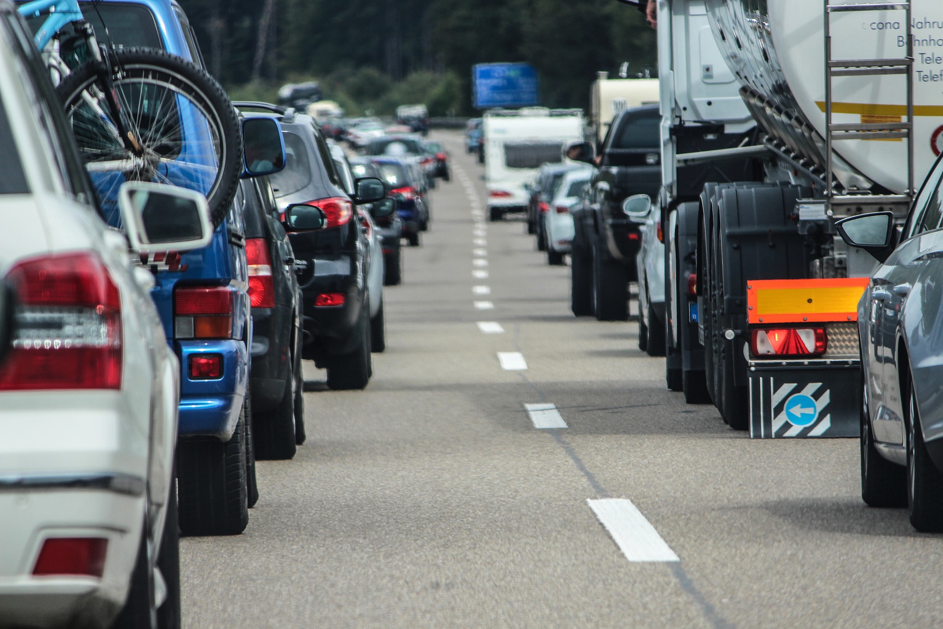 Rapid transporter regulation prevents substrate flow traffic jams in boron transport