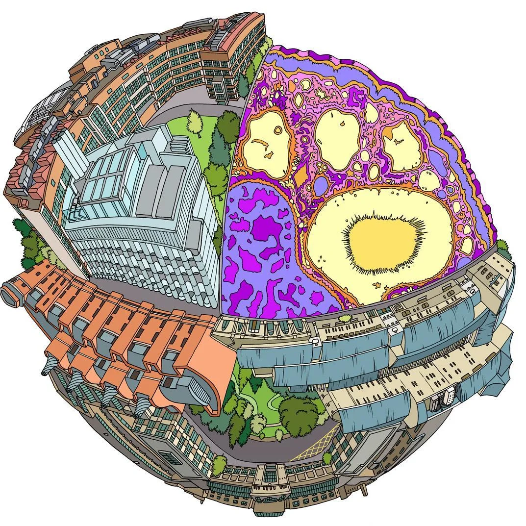  [Closes 30 Nov 2017] PhD Internship available: BrisSynBio Innovations Officer