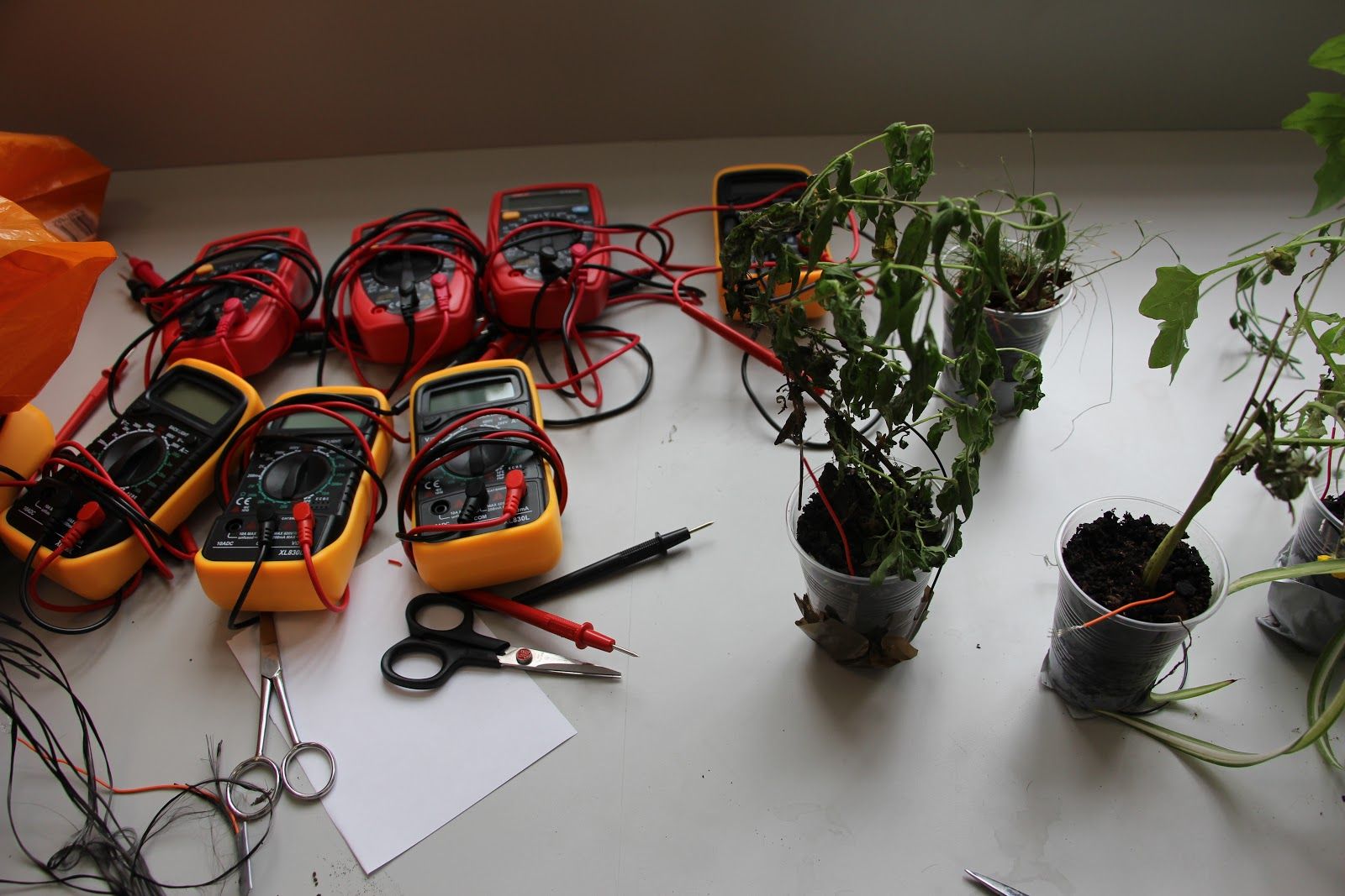 Report_-_Co-lab_OpenPlant-036.jpg