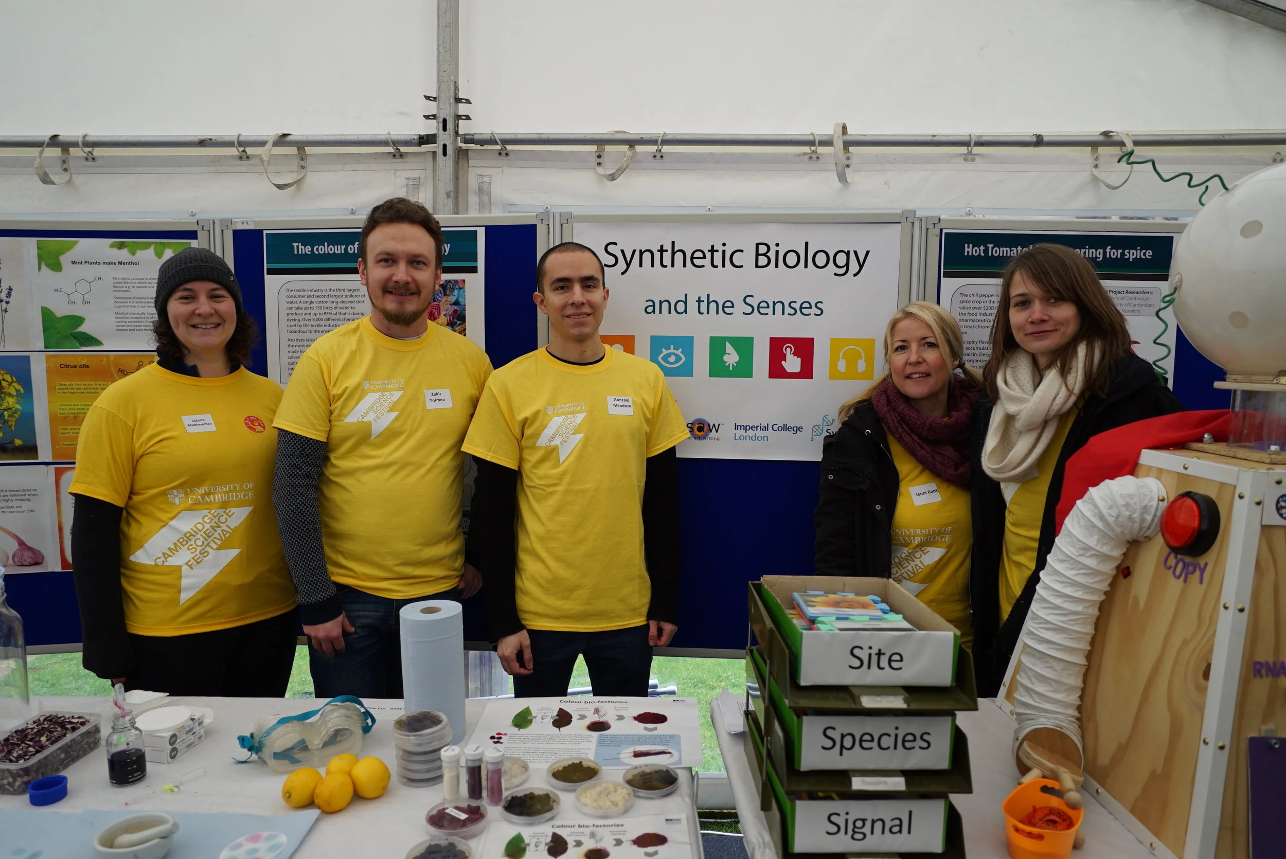 The morning shift: Some of the Cambridge Science Festival 2018 team ready for doors open.