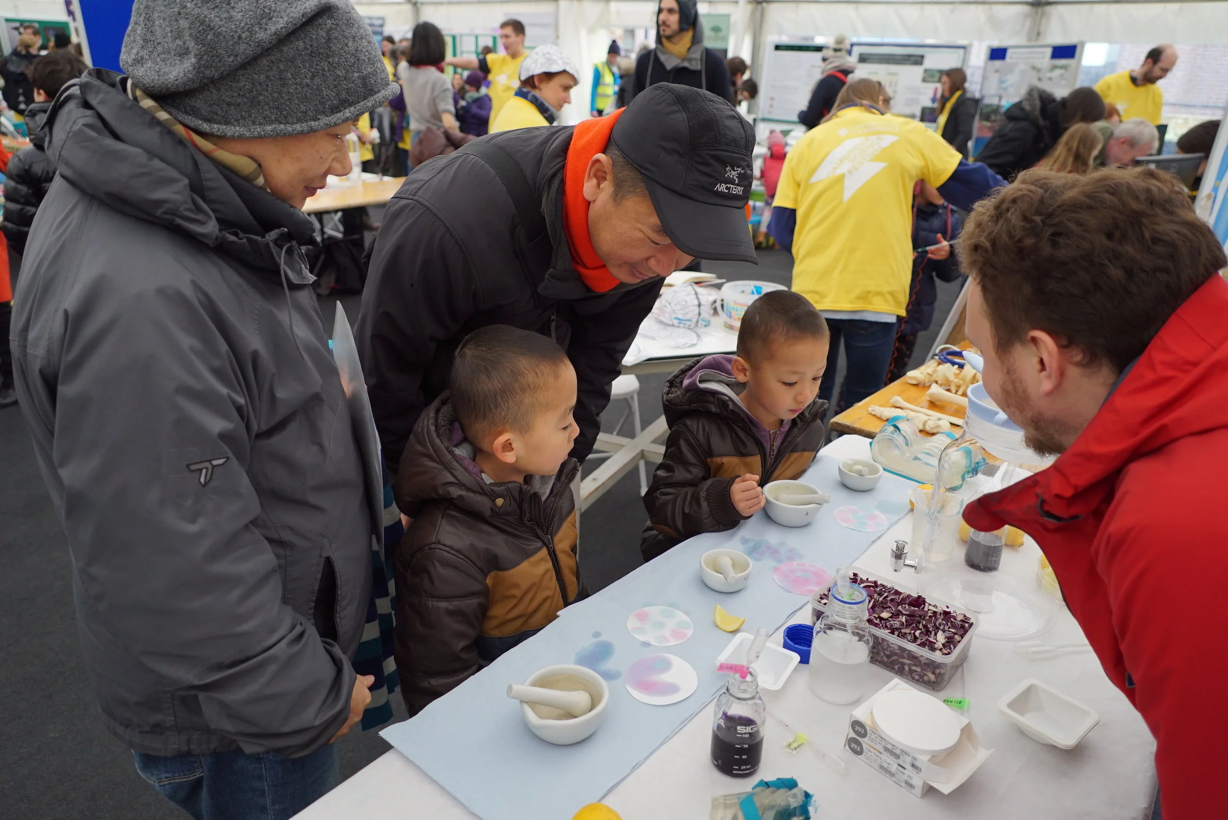 Extracting anthocyanin from red cabbage at the Cambridge Science Festival