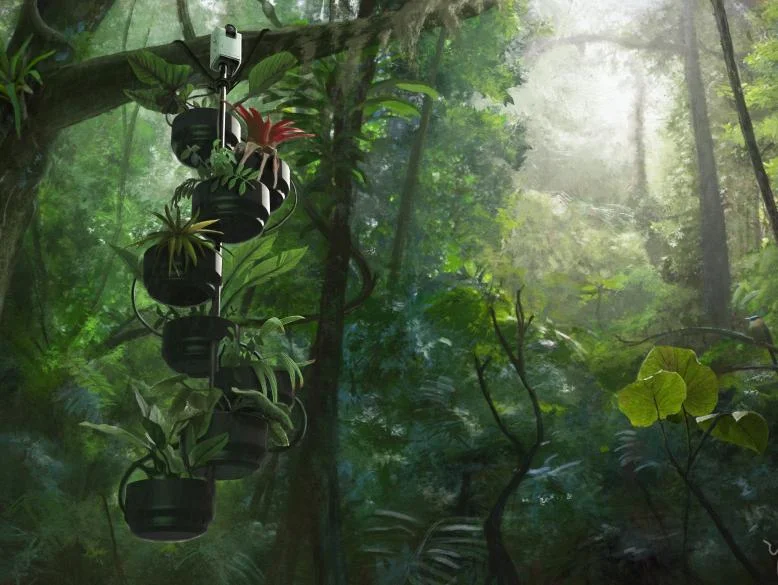 An artistic representation of a plant-microbial fuel cell