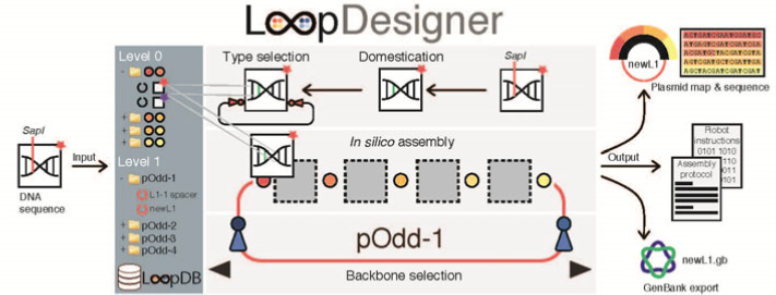 LoopDesigner.png