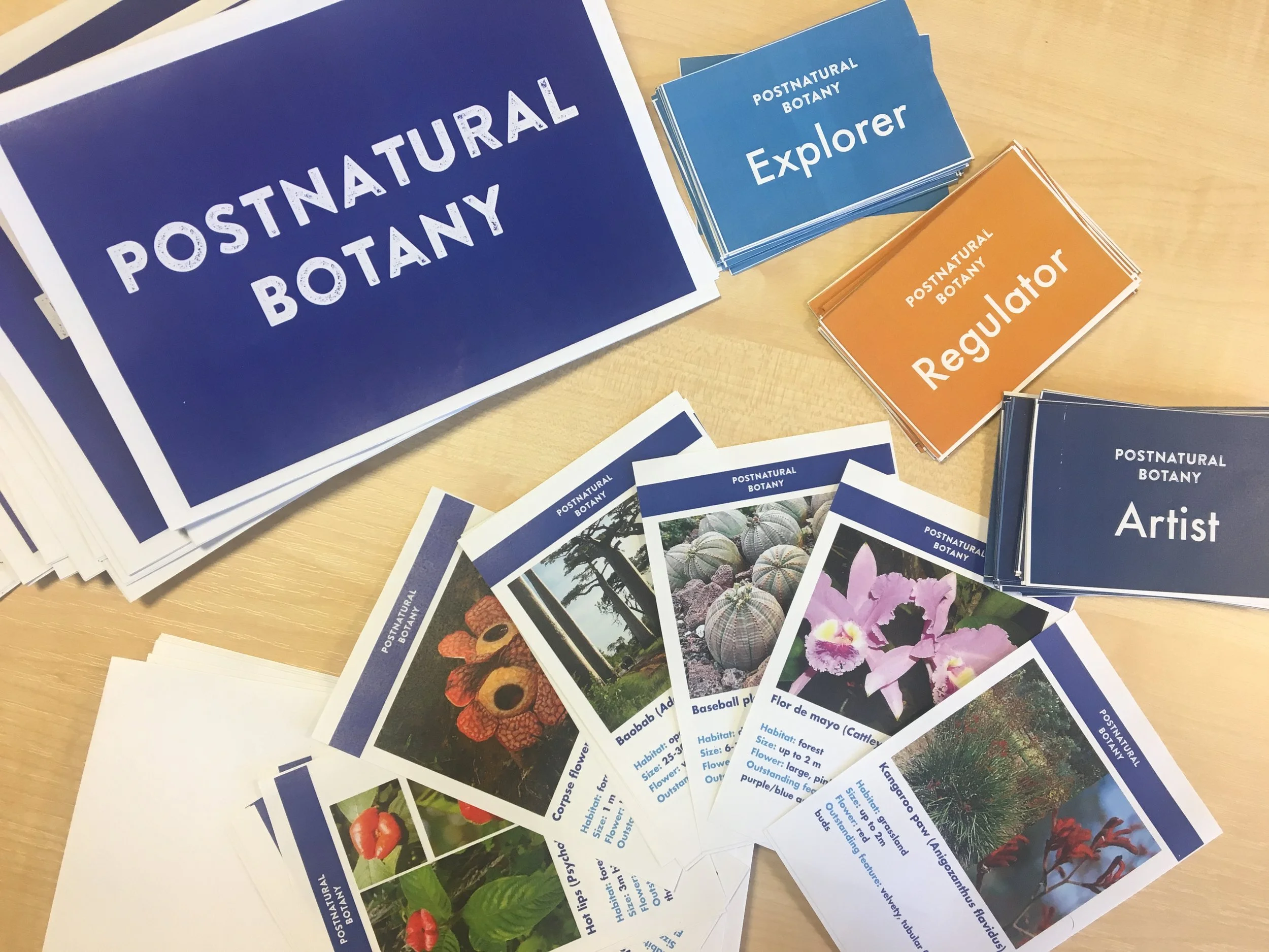 Postnatural Botany: A creative exploration of botanical diversity, observation and communication skills