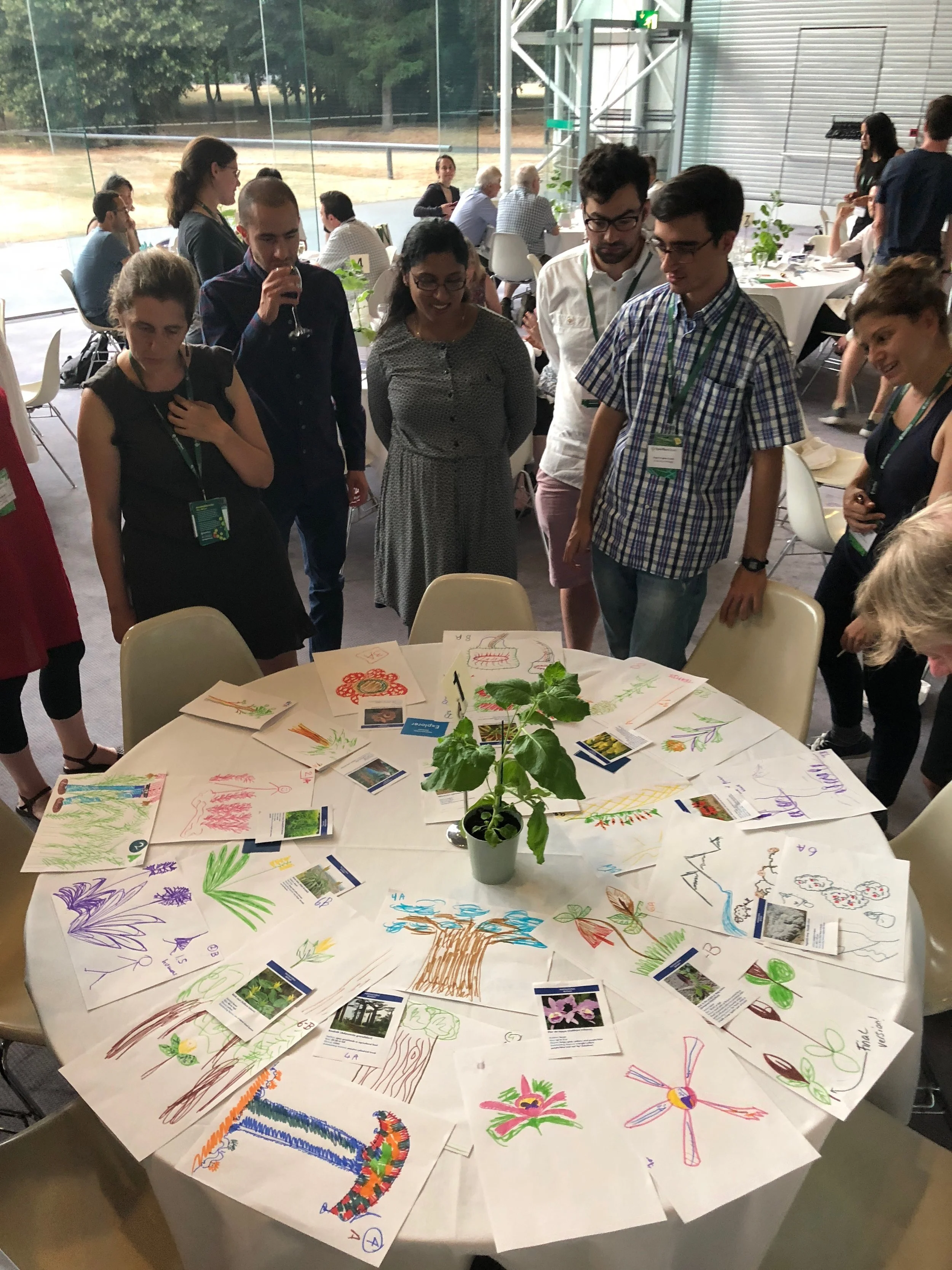 Open Plant Forum attendees marvel over a gallery of colorful creations. Photo: Nicola Patron
