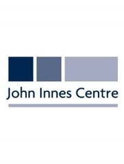 PhD studentship available in Prof. Cathie Martin's lab