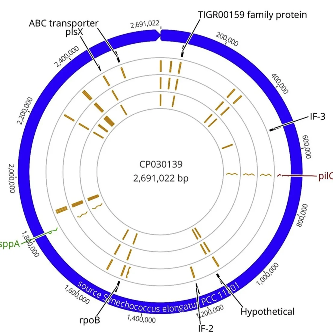 Publication: Adaptive laboratory evolution of the fast-growing cyanobacterium Synechococcus elongatus PCC 11801 for improved solvent tolerance