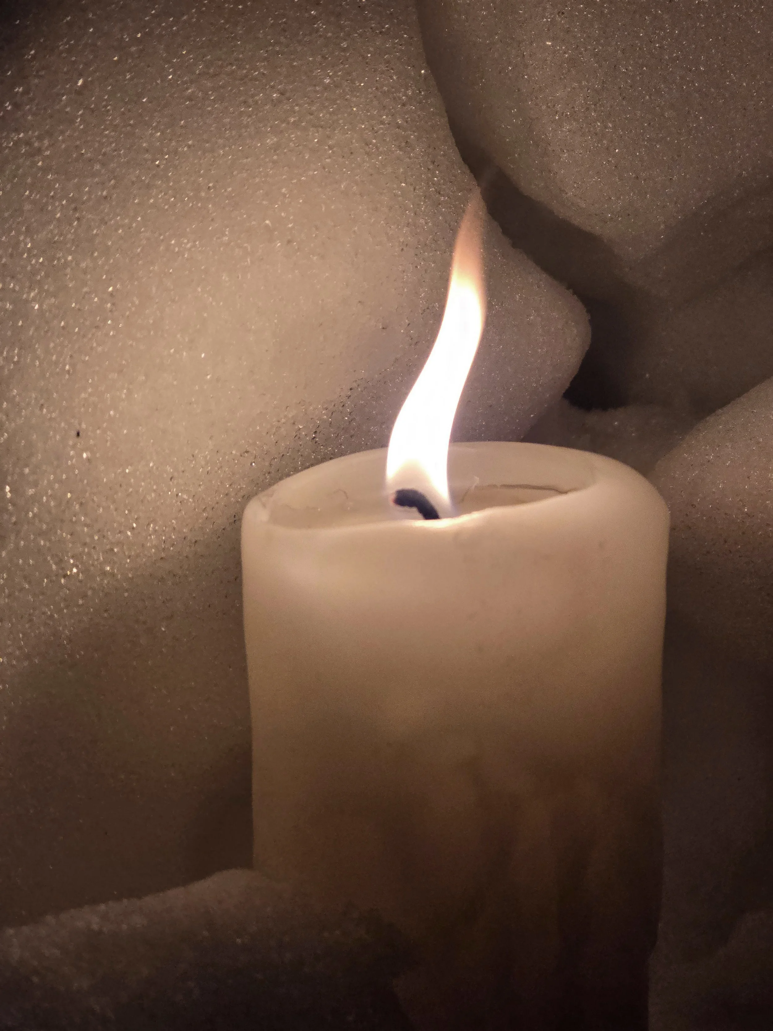 White Chrysalis in Snow.jpg