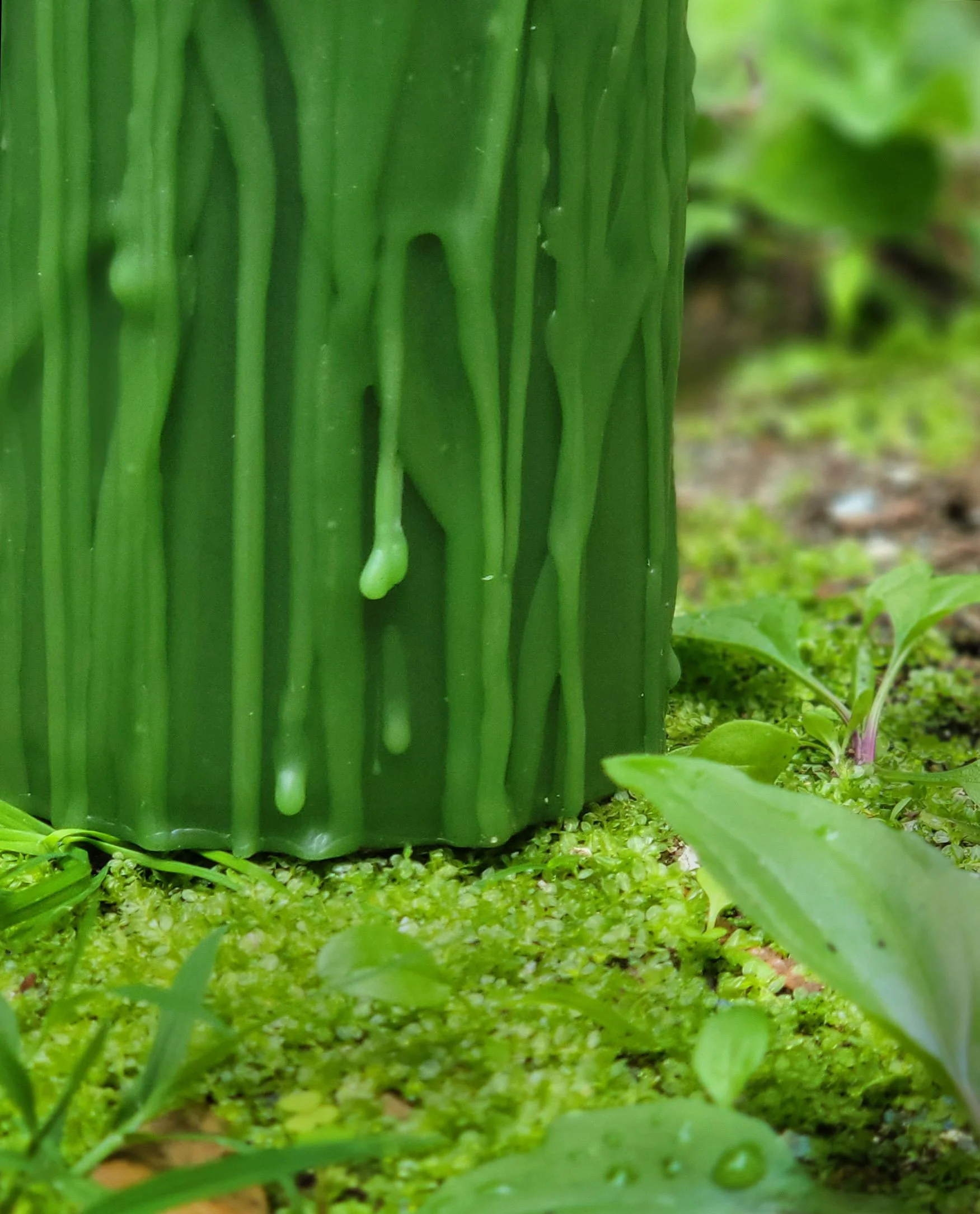 Green Halcyon Texture Closeup.jpg