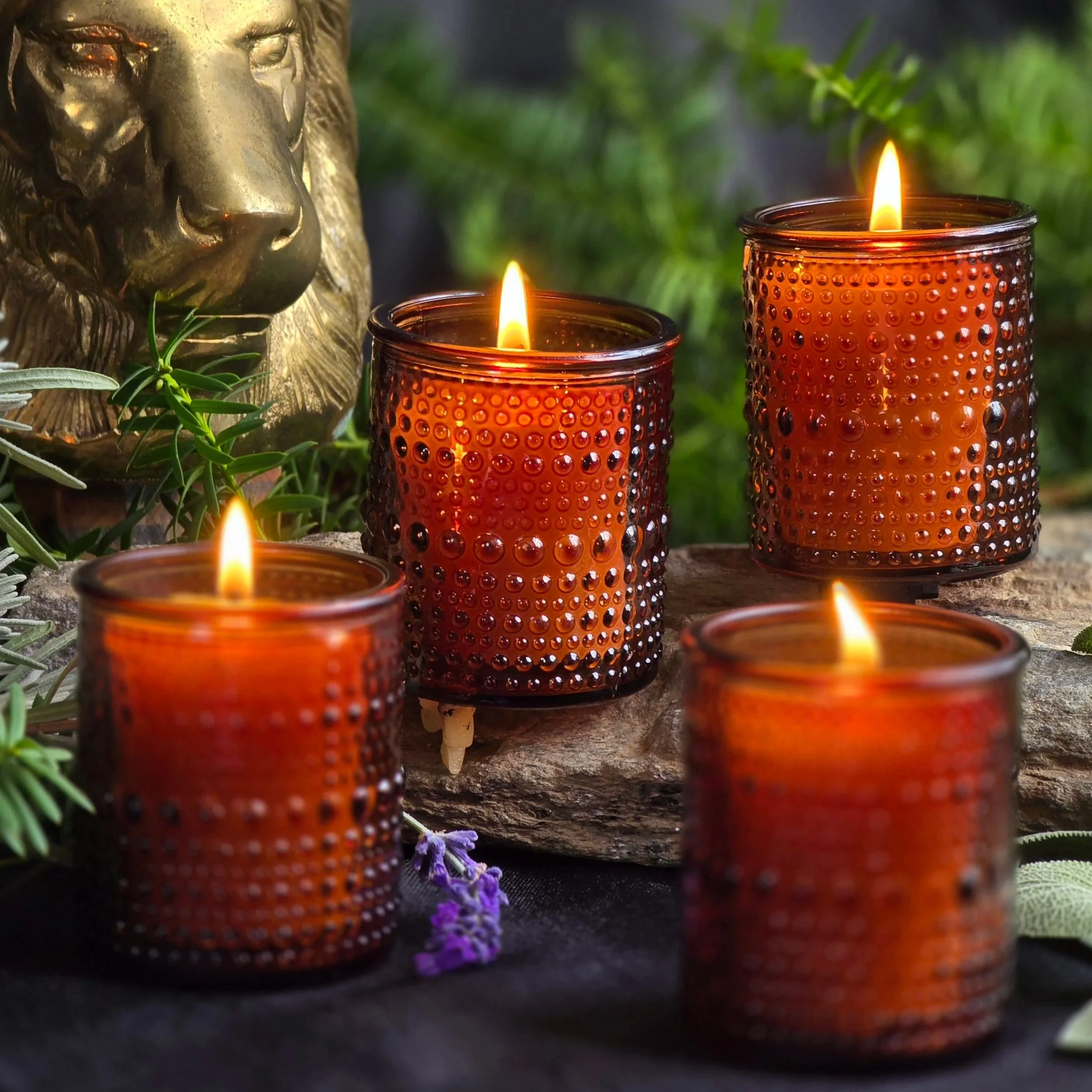 20251123_140237.jpg (Copy)