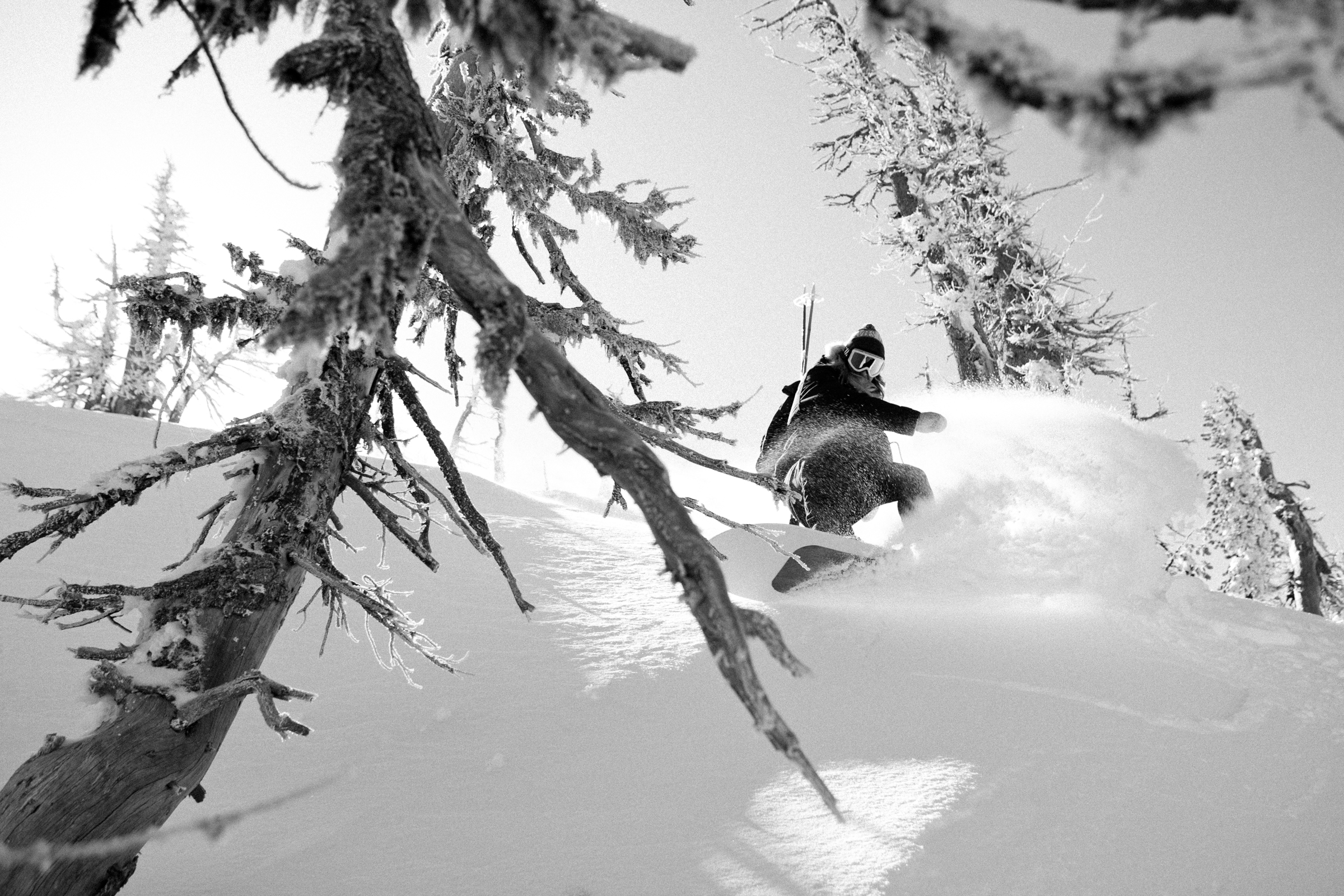 Spring_Break_Snowboards_Mt._Bachelor_March_2012_KealanShilling_31172.jpg