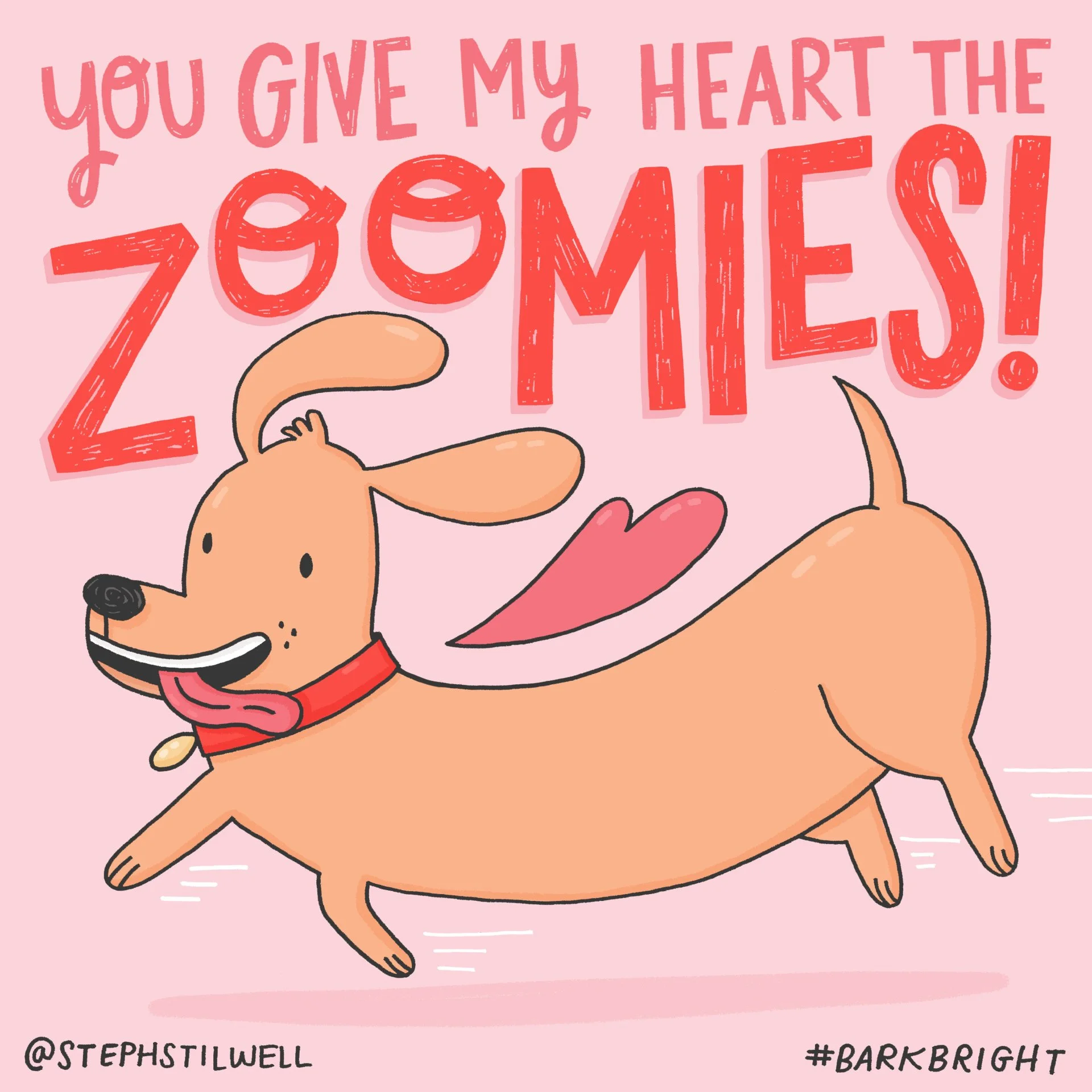 Valentine_Zoomies.jpg