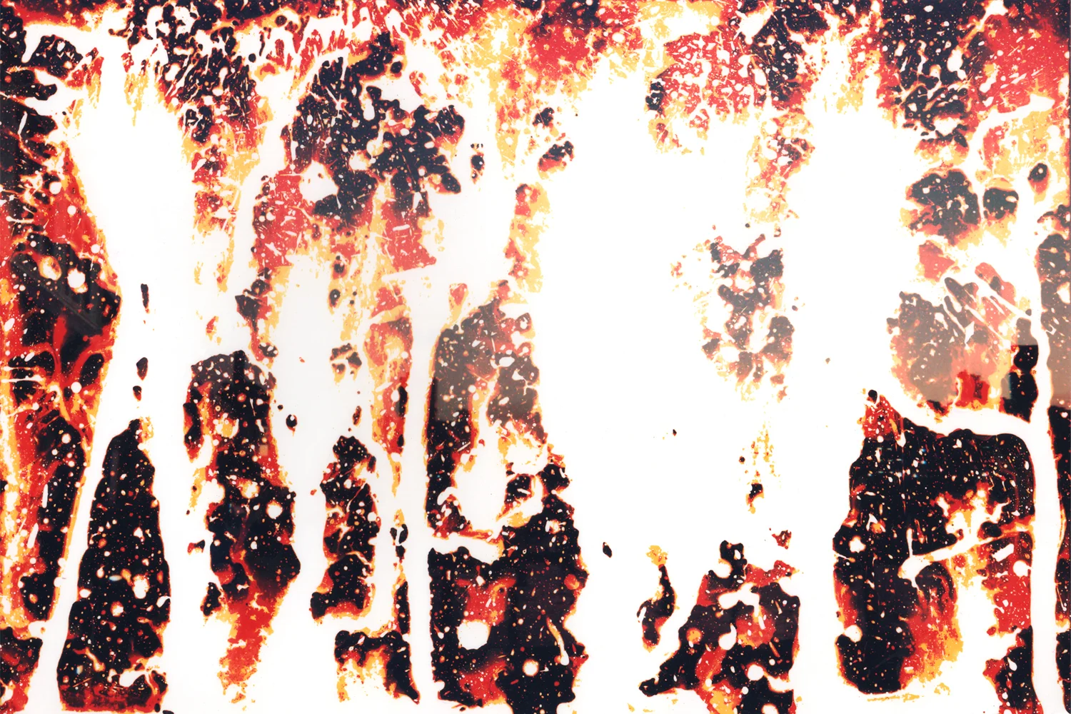 Sunburn 35, 2007