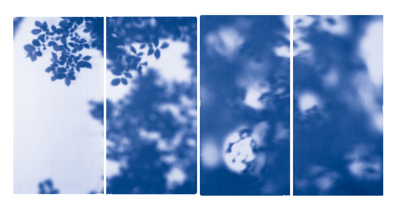Blue Line of Woods #509, 2012