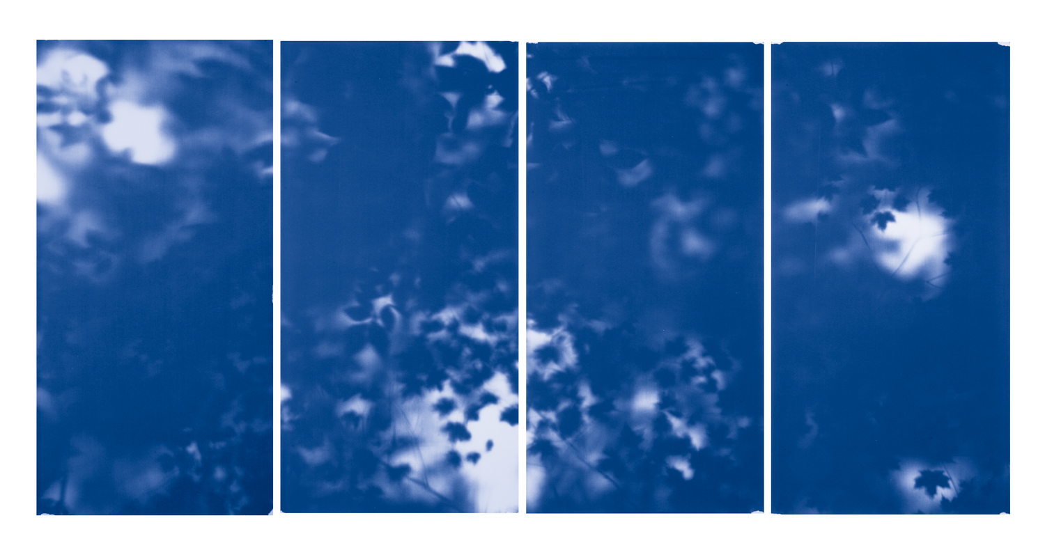 Blue Line of Woods #337, 2012