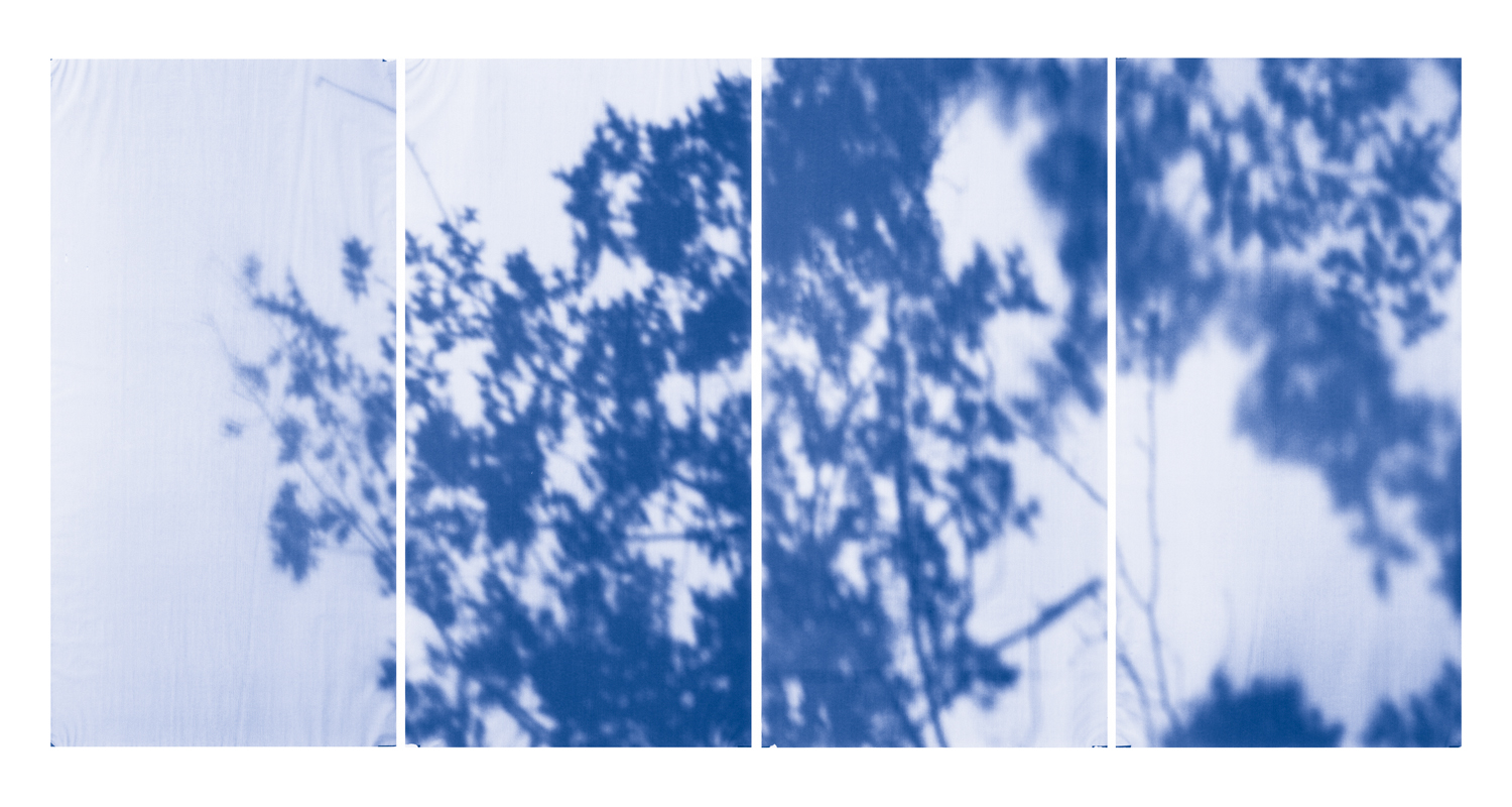 Blue Line of Woods #1142, 2012