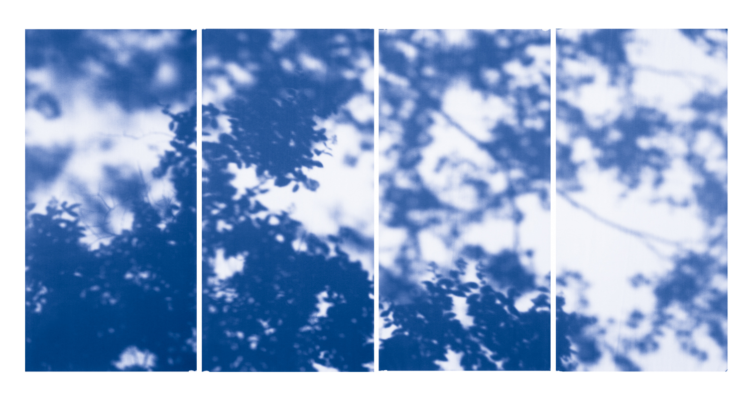 Blue Line of Woods #1134, 2012
