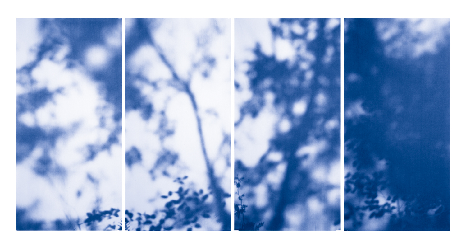 Blue Line of Woods #981, 2012