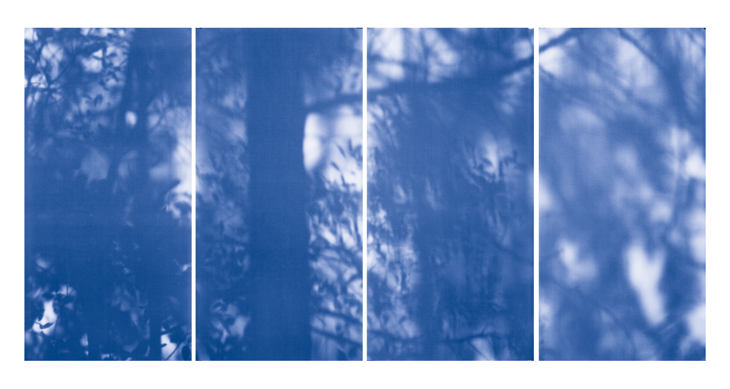 Blue Line of Woods #1138, 2012