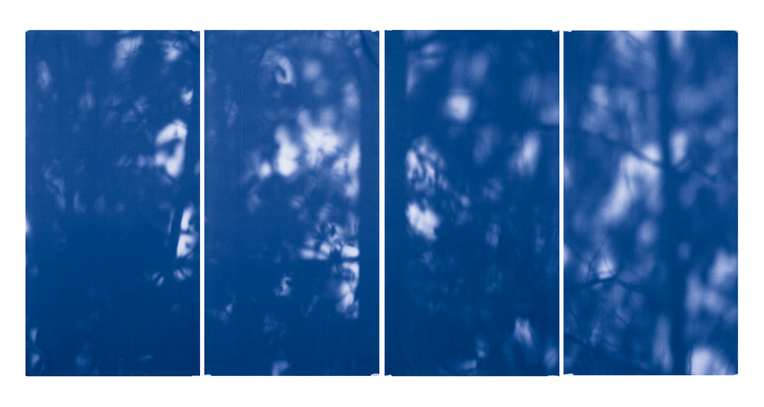 Blue Line of Woods #883, 2012