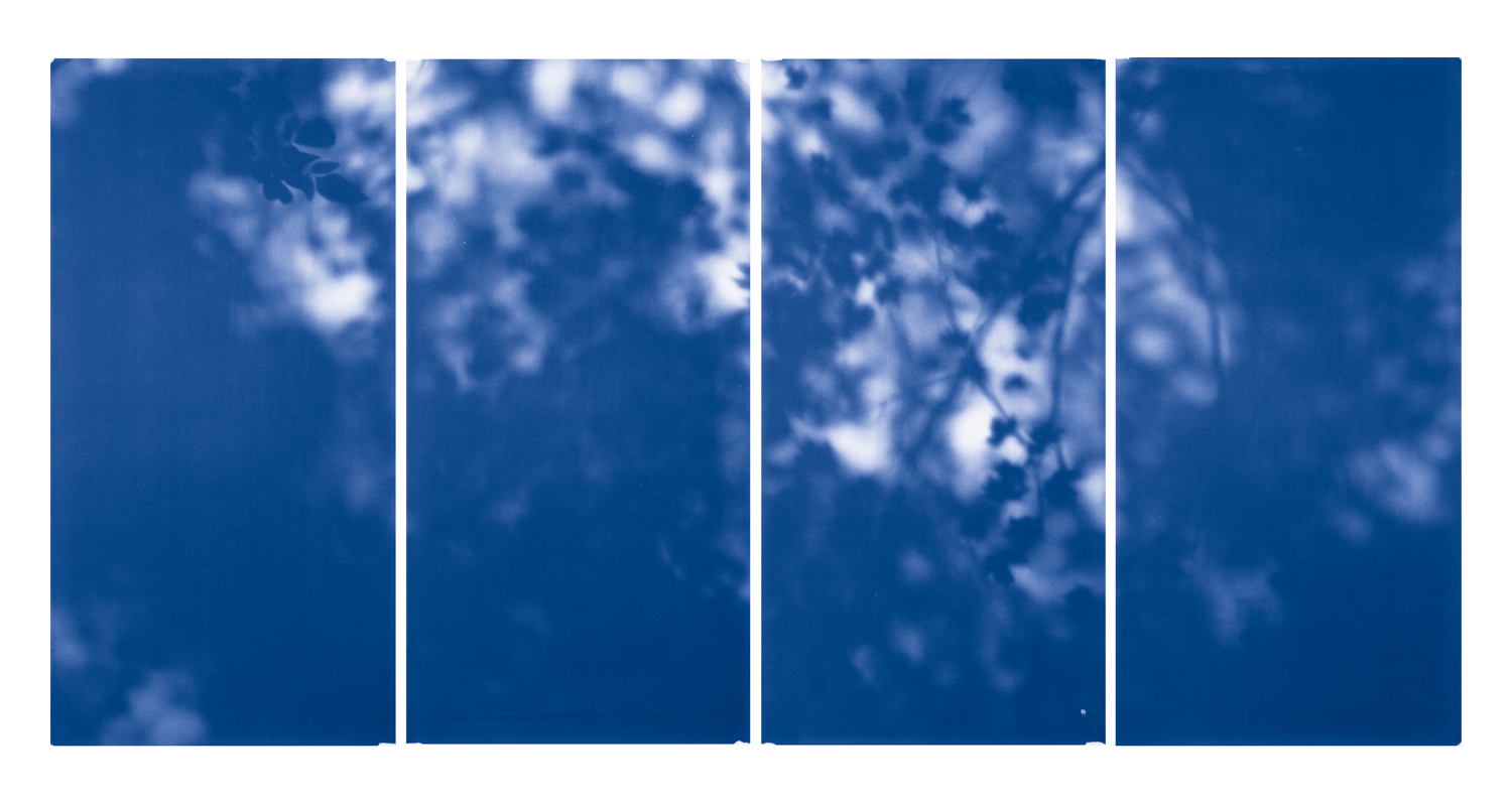Blue Line of Woods #911, 2012