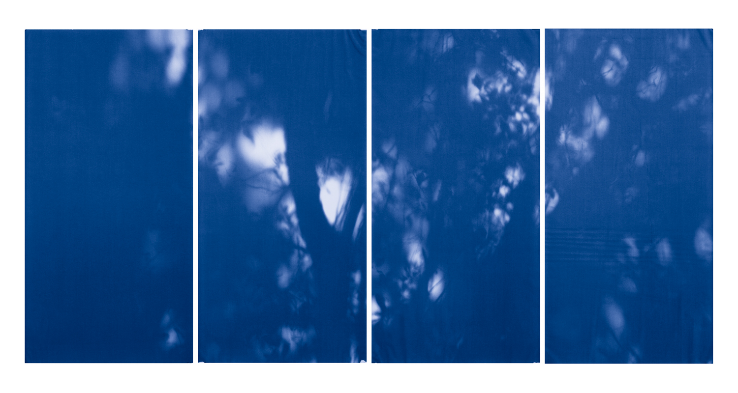 Blue Line of Woods #993, 2012