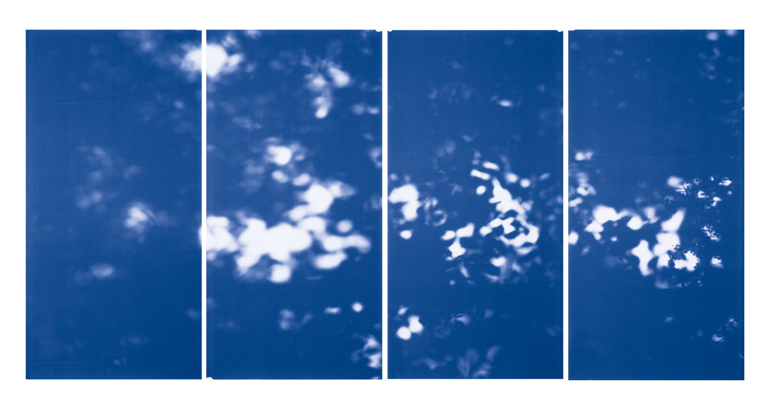 Blue Line of Woods #1146, 2012