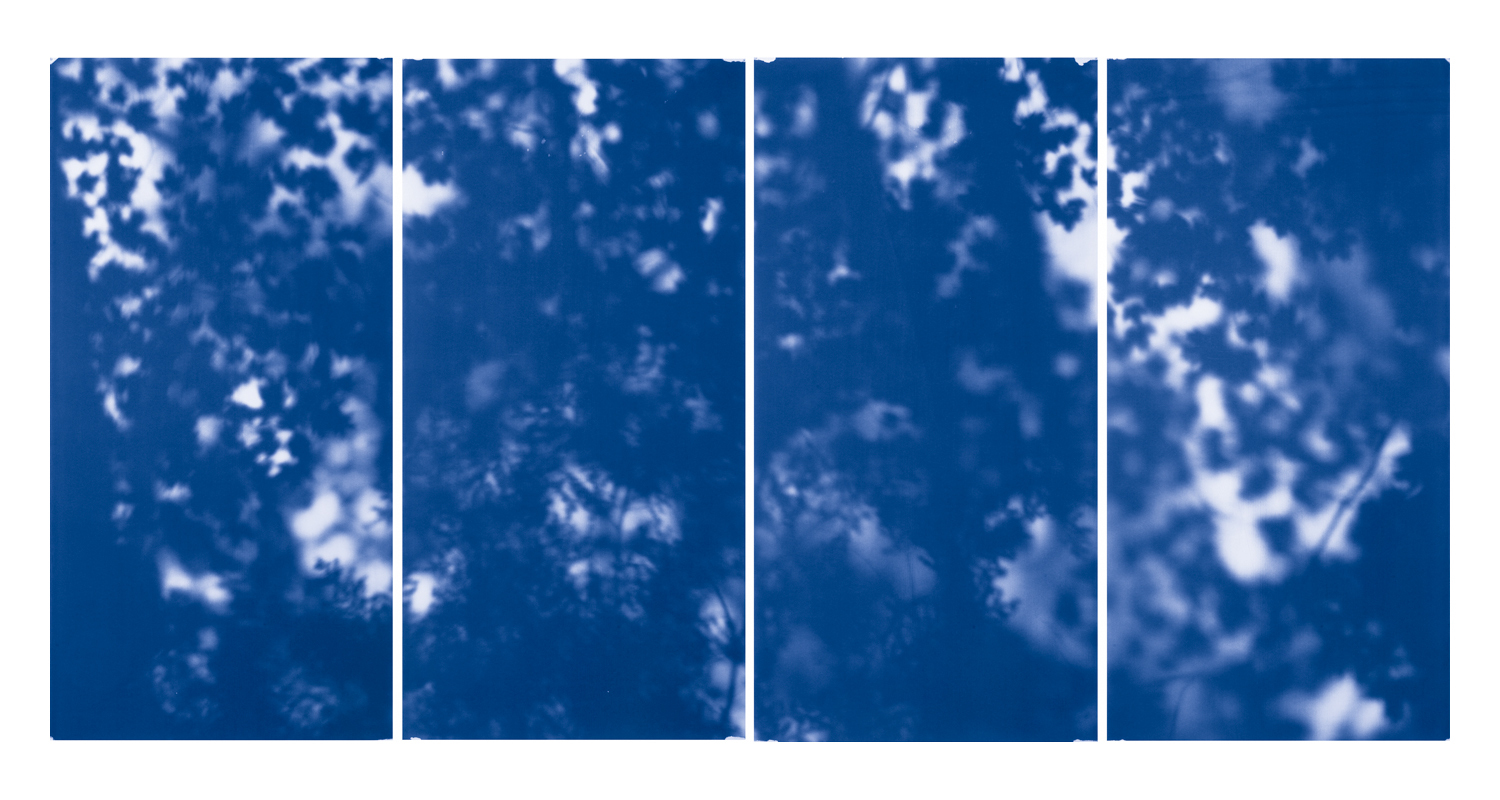 Blue Line of Woods #766, 2012