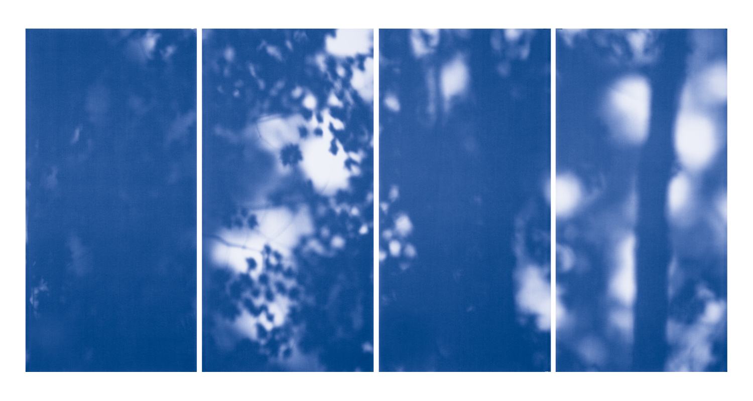 Blue Line of Woods #1102, 2012