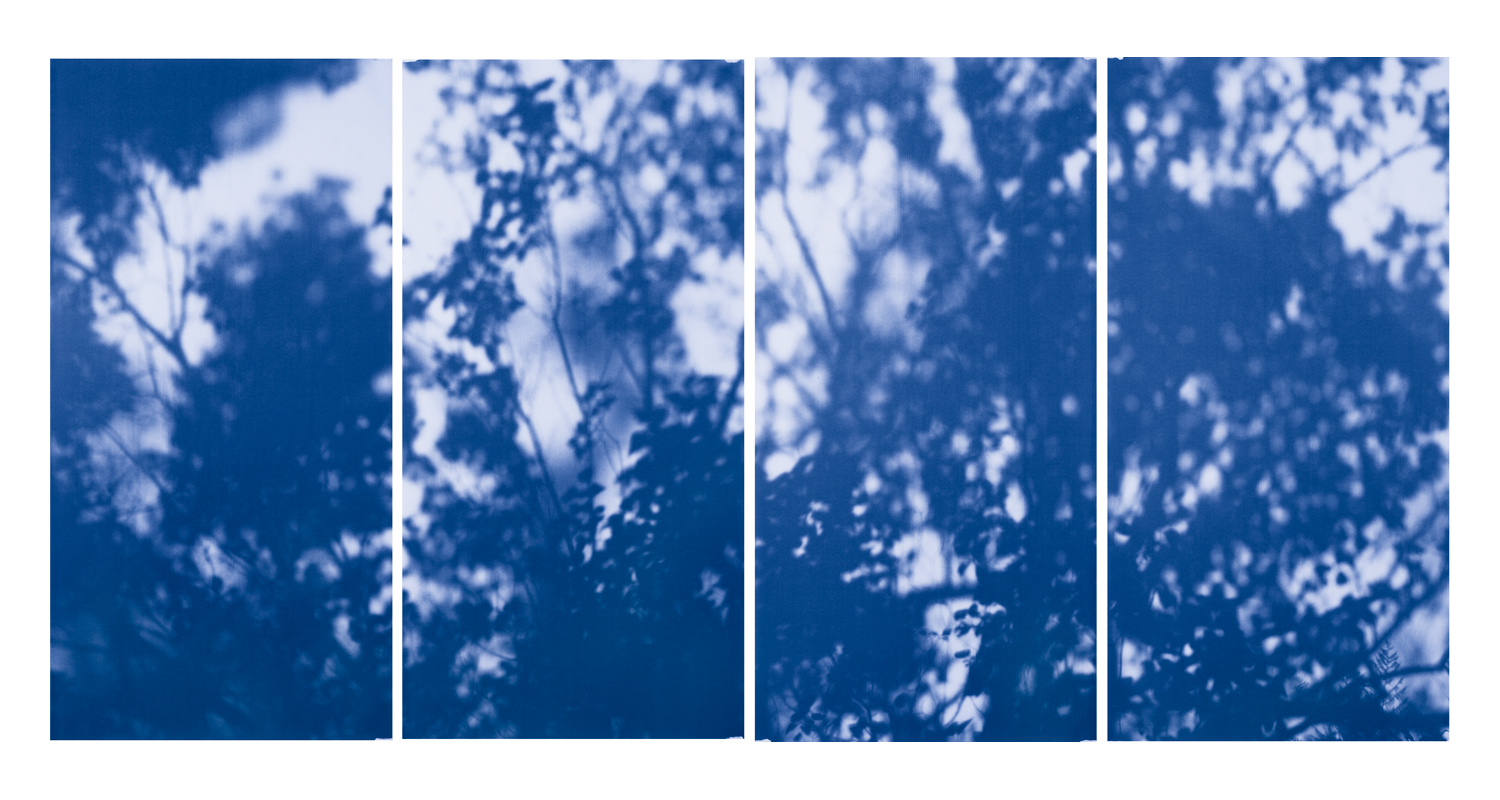 Blue Line of Woods #915, 2012