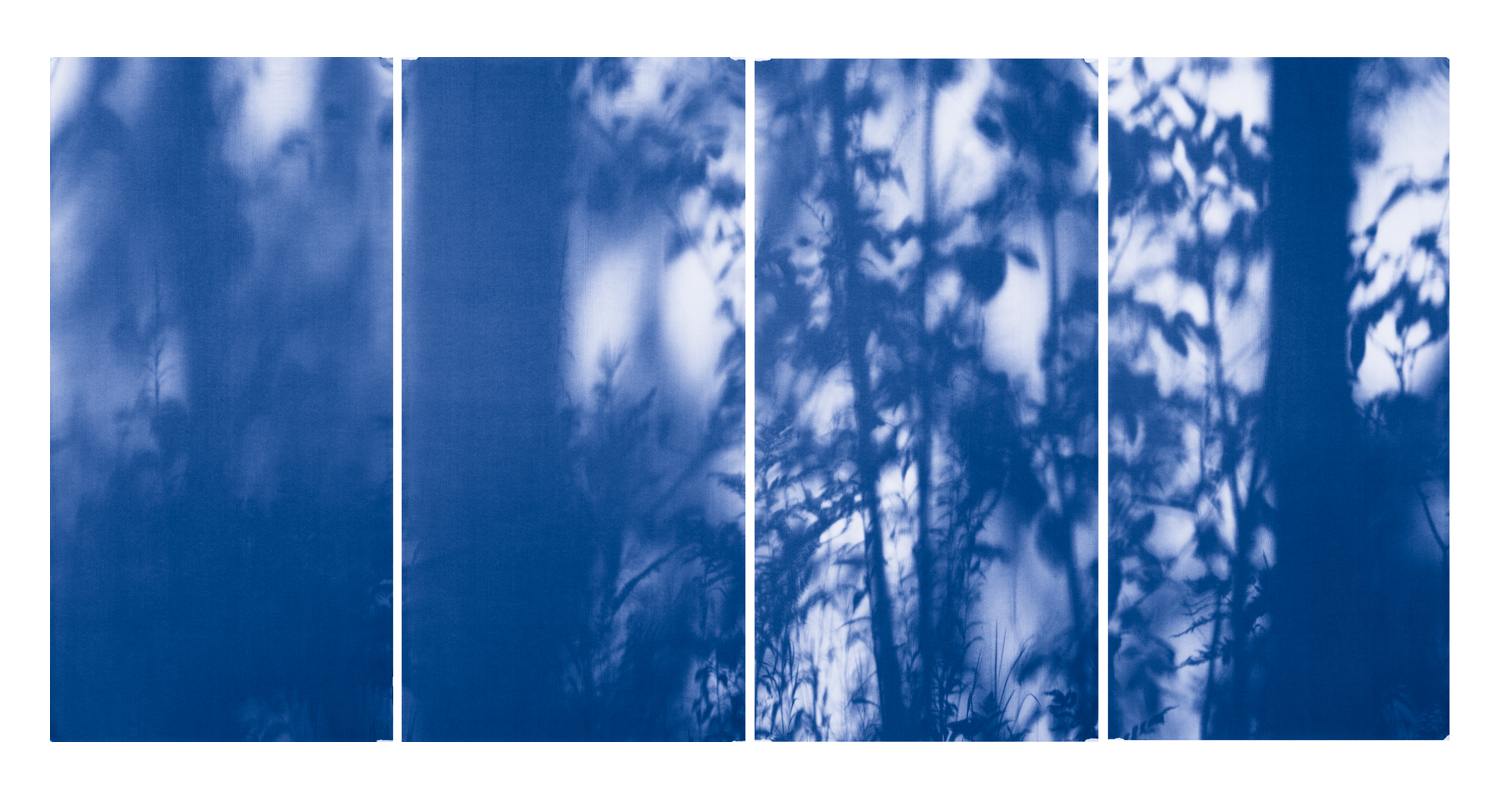 Blue Line of Woods #969, 2012