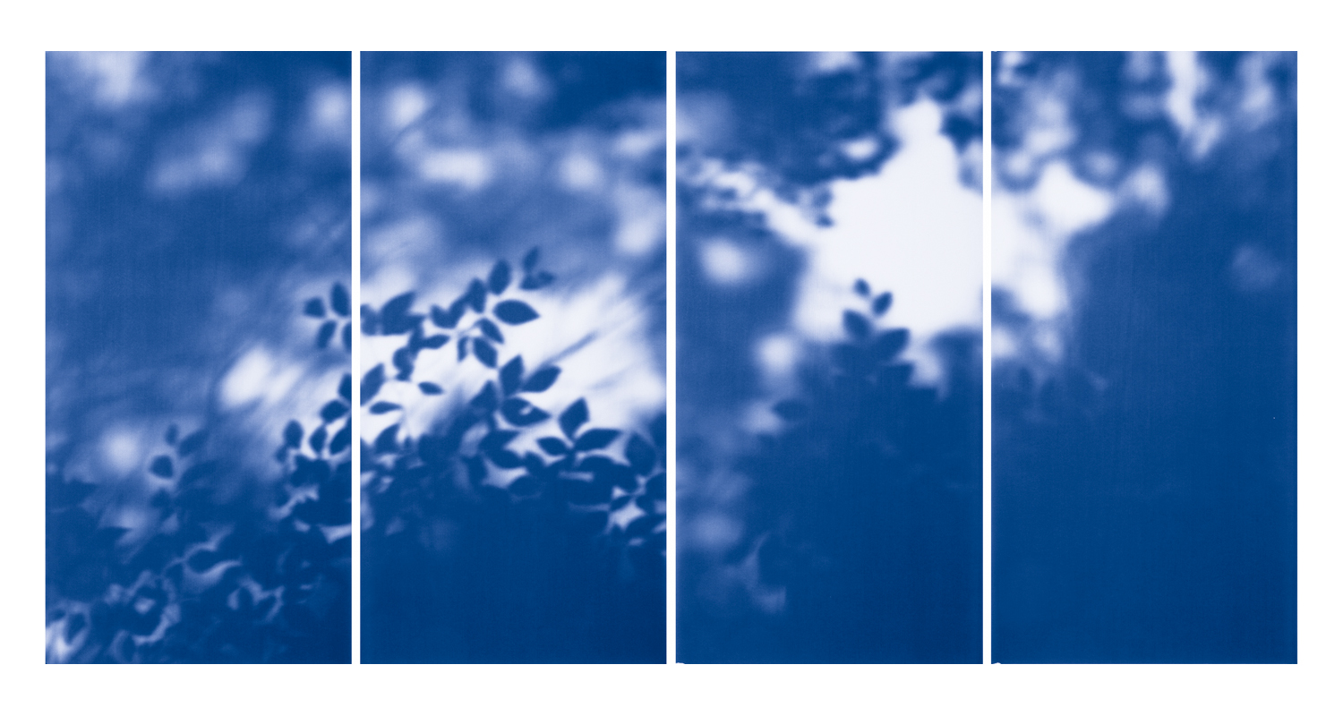 Blue Line of Woods #1122, 2012