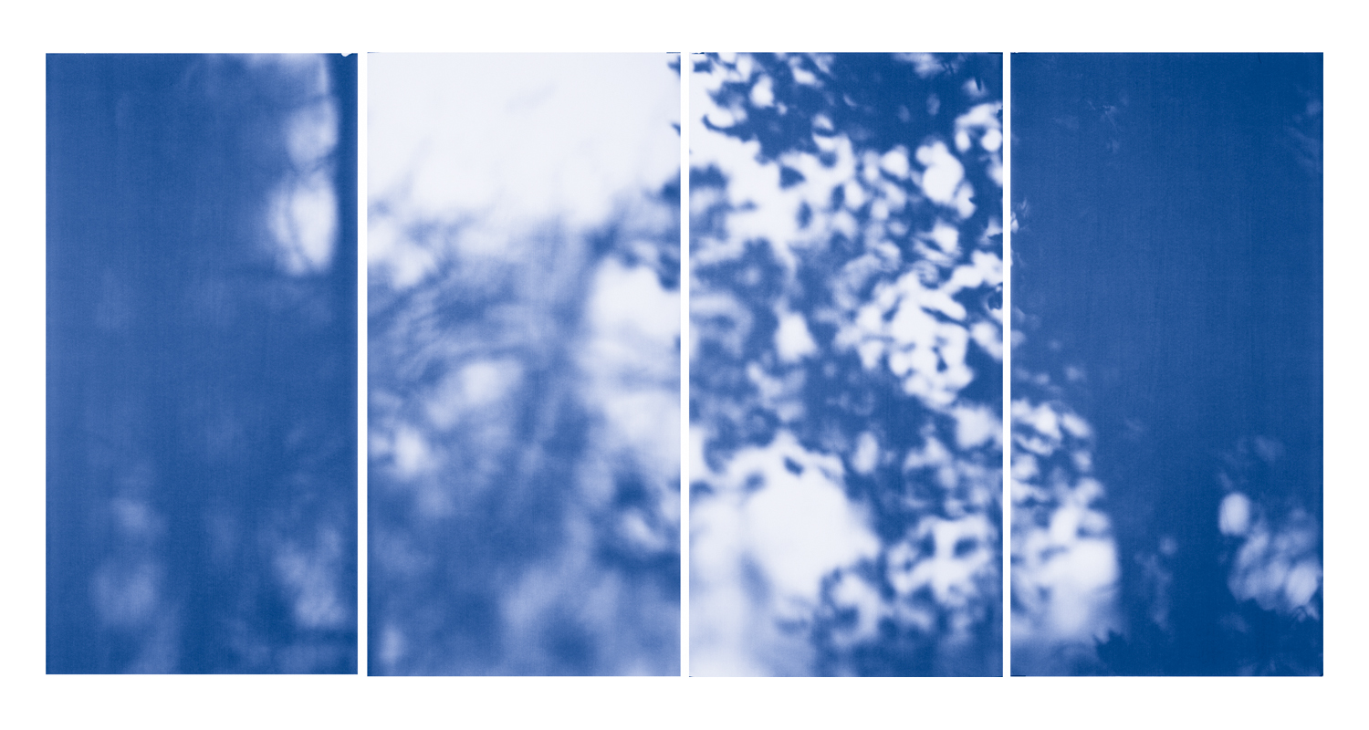 Blue Line of Woods #1126, 2012