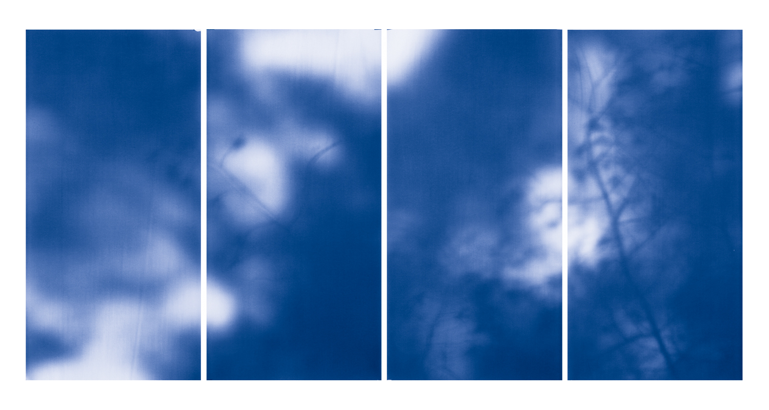 Blue Line of Woods #1106, 2012