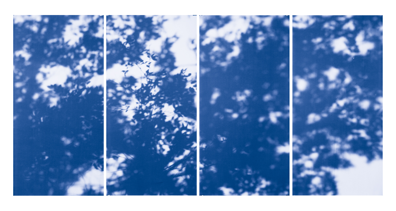 Blue Line of Woods #1150, 2012
