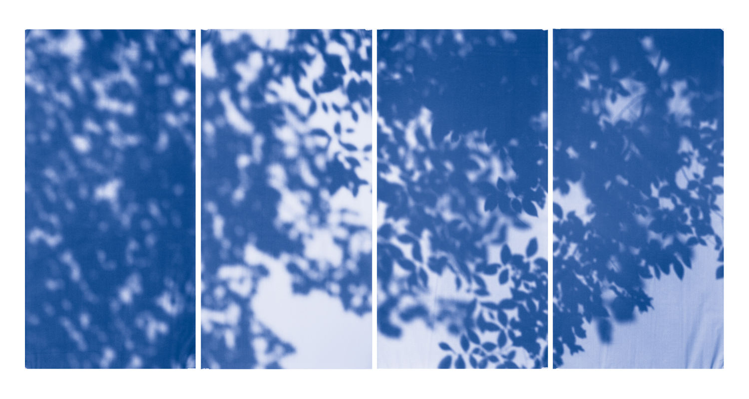 Blue Line of Woods #1001, 2012